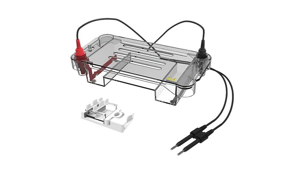 dna nucleic acid electrophoresis