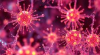 nanoparticles modulating immunity