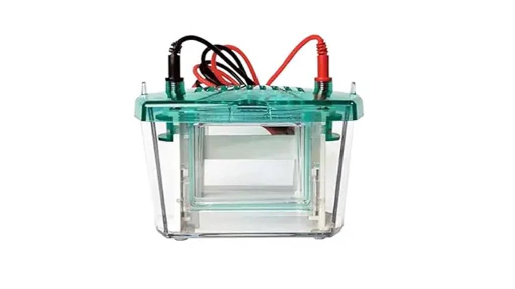 vertical electrophoresis system