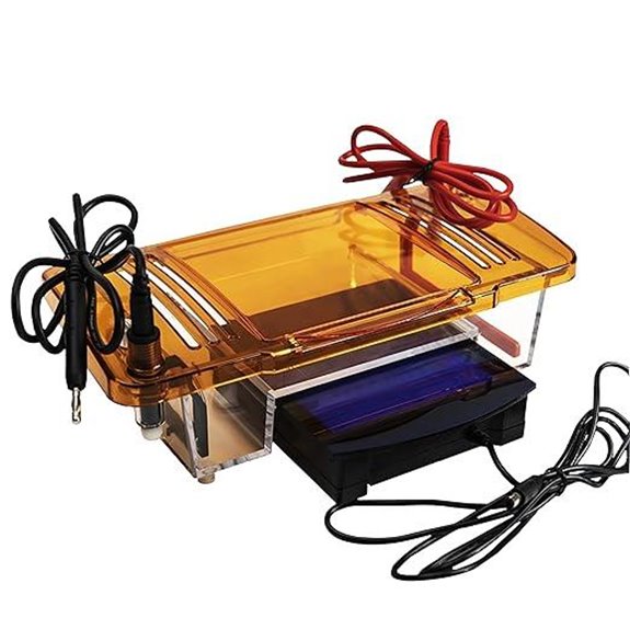 blue light electrophoresis system
