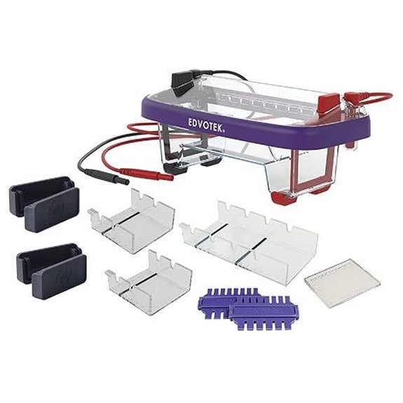 dual electrophoresis apparatus case
