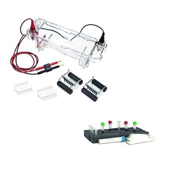 electrophoresis apparatus kit