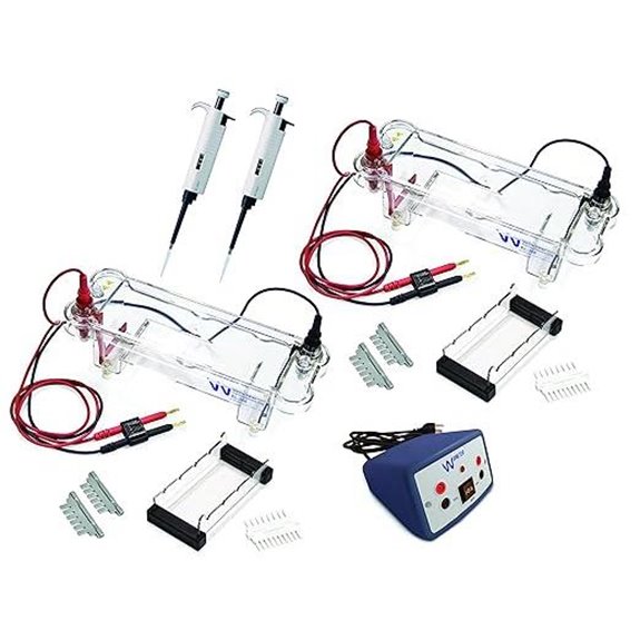 electrophoresis lab for students