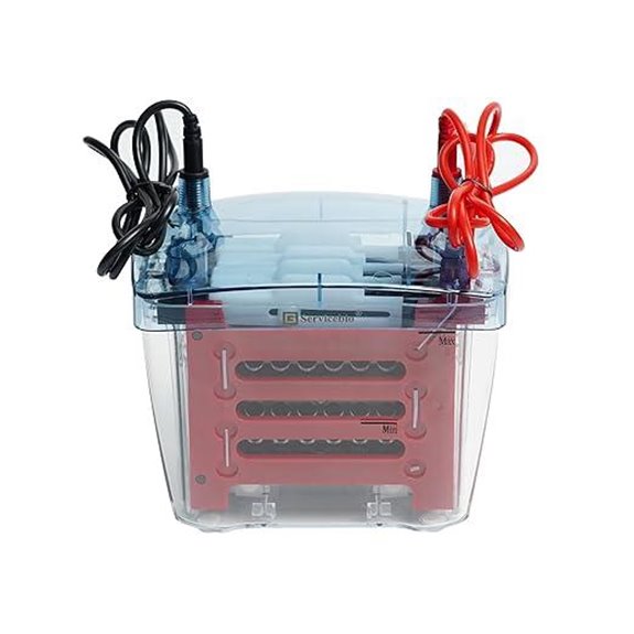 four gel gel transfer system