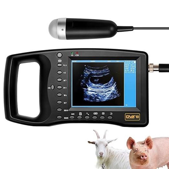 Portable Ultrasound Machine for Pregnancy Testing