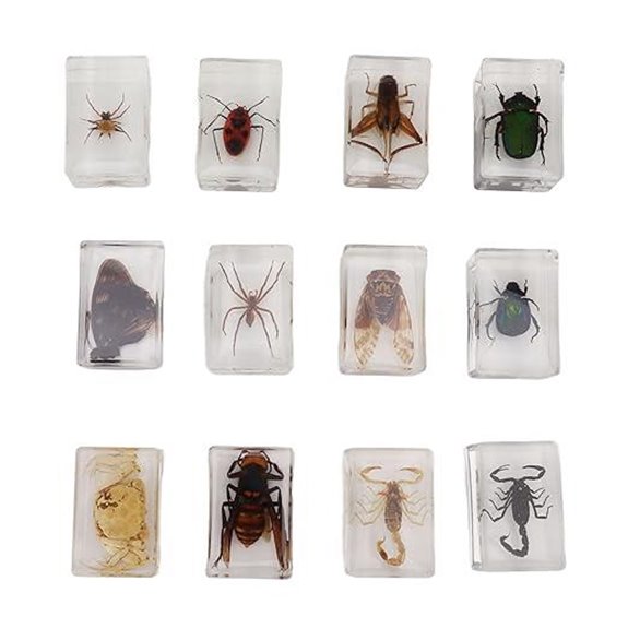 12 Pcs Transparent Resin Science Specimen Samples