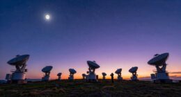 top beginner digital telescopes