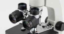 hidden stereo microscope features