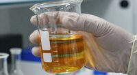 selecting appropriate lab gloves
