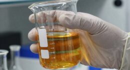 selecting appropriate lab gloves