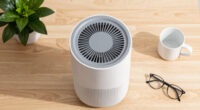 14 Best Portable Air Purifiers For Allergies In 2026