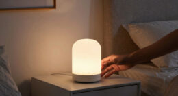 2 Best Home Night Lights in 2026