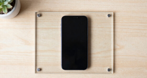 Glasspane: When Transparency Itself Becomes the Product